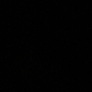 Meet your Posher, Kylie